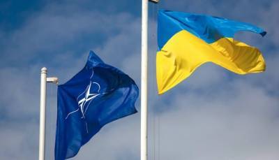Украина действительно нужна НАТО, или Что мы можем предложить Альянсу