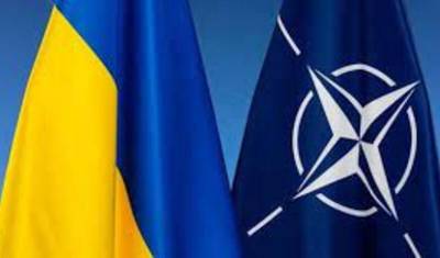 Украину не планируют принимать в НАТО
