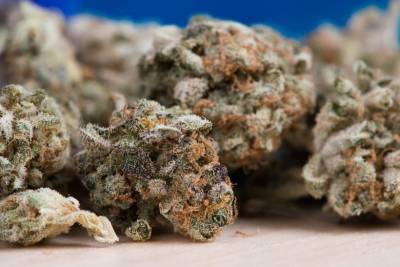 Более 60 грамм марихуаны нашли полицейские у 24-летнего псковича