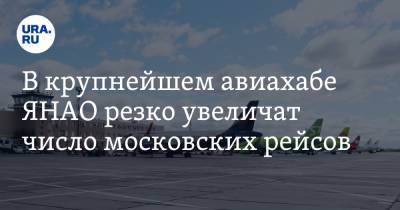 В крупнейшем авиахабе ЯНАО резко увеличат число московских рейсов