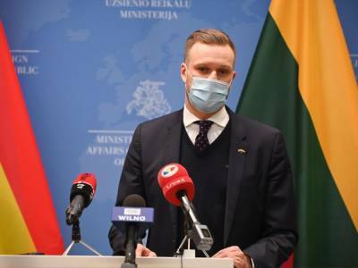 Литва предложит НАТО предоставить Украине план действий по членству – глава МИД