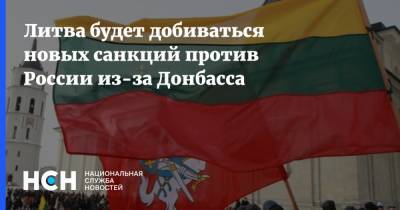 Литва будет добиваться новых санкций против России из-за Донбасса
