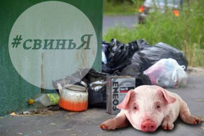 Житель Ярославля «бомбит» соседей мусором