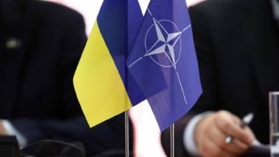 Литва предложит НАТО предоставить Украине План действий по членству, – МИД страны