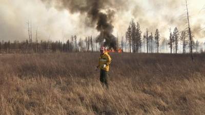 В одни российские регионы пришла большая вода, в других уже борются с природными пожарами