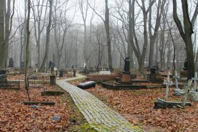 В Тольятти женщину убило надгробной плитой