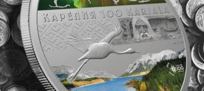 Ревизоров не убедили отчеты мэрии Петрозаводска, как тратились деньги к 100-летию Карелии