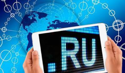 Число пользователей рунета достигло 95 млн человек