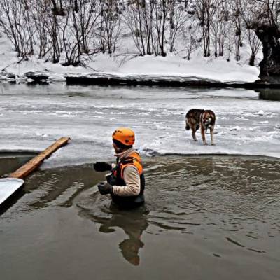 Кузбассовцы спасли собаку на льдине