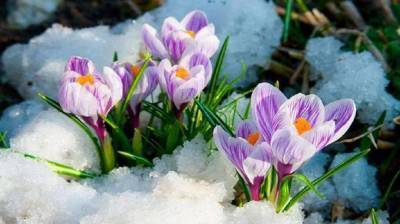 Прогноз погоды на 8 апреля: в Украине немного потеплеет, но местами будет падать мокрый снег