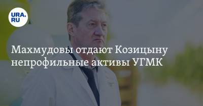 Махмудовы отдают Козицыну непрофильные активы УГМК