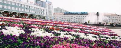В Якутске в 2021 году на озеленение города потратят около 11 млн рублей