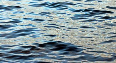 Около Тохколодского озера в Юкках появится зона отдыха