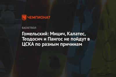 Гомельский: Мицич, Калатес, Теодосич и Пангос не пойдут в ЦСКА по разным причинам