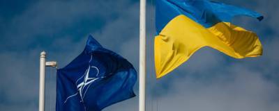 Кабмин Германии: Вступление Украины в НАТО пока не стоит на повестке дня