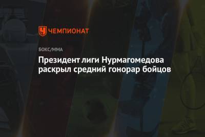 Президент лиги Нурмагомедова раскрыл средний гонорар бойцов