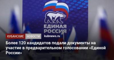 Более 120 кандидатов подали документы на участие в предварительном голосовании «Единой России»