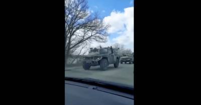 Под границей с Украиной заметили коллону военных грузовиков и бронивеков "Тигр" (фото, видео)