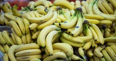 Диетолог рассказала, почему в рационе обязательно должны быть бананы