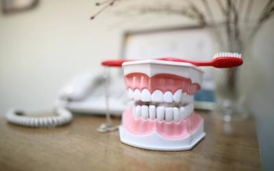 Японские ученые нашли способ выращивать новые зубы