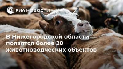 В Нижегородской области появятся более 20 животноводческих объектов