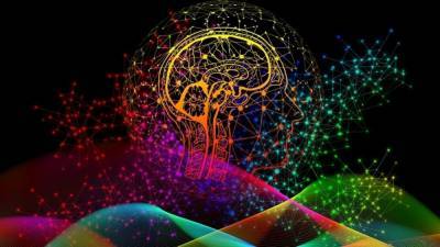 Доказана способность саморегуляции дофаминовых нейронов в головном мозге