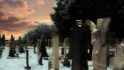 Женщину насмерть придавило надгробной плитой в Тольятти