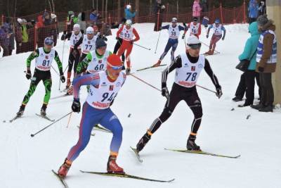 В Мурманской области состоится Чемпионат и Первенство России по лыжным гонкам