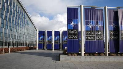 НАТО пока не рассматривает членство Украины в альянсе