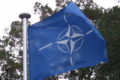 В Германии заявили, что вступление Украины в НАТО не на повестке дня