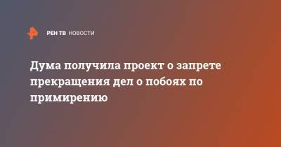 Вячеслав Лебедев - Дума получила проект о запрете прекращения дел о побоях по примирению - ren.tv