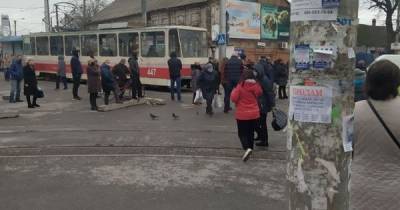 В Запорожье блокирование движения трамваев предпринимателями переросло в столкновения с полицией