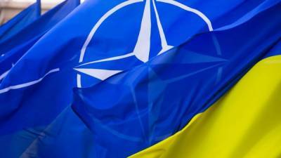 Не на повестке дня: Германия выступила против вступления Украины в НАТО