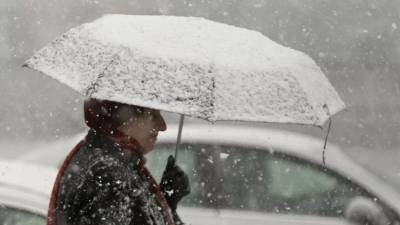 МЧС предупредило о сильном ветре и мокром снеге в Москве