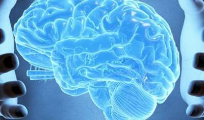 Ученые вырастили клетки мозга в «биореакторе» за пять долларов