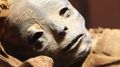 Раскрыта тайна древнеегипетской мумии Такабути