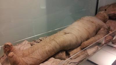 Раскрыта тайна мумии Такабути