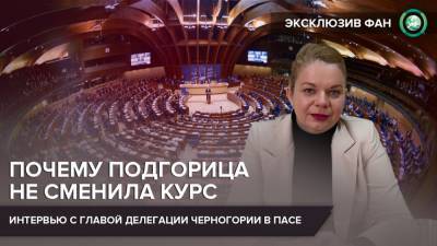 Без России Совет Европы теряет свой смысл — глава делегации Черногории в ПАСЕ