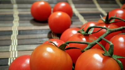 Минсельхоз России предложил увеличить квоту на ввоз томатов из Турции