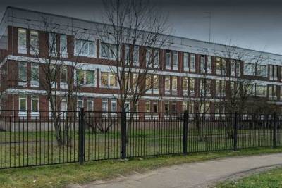 Директор школы №552 в Пушкине опровергла информацию о массовом отравлении