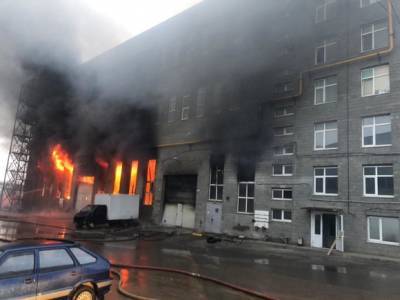 Огонь в Подмосковье захватил 6 тыс. кв. м склада с бытовой химией