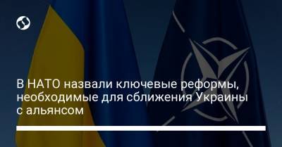 В НАТО назвали ключевые реформы, необходимые для сближения Украины с альянсом