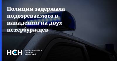 Полиция задержала подозреваемого в нападении на двух петербуржцев