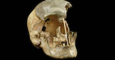 Ученые раскрыли секрет геномов самых древних Homo Sapiens