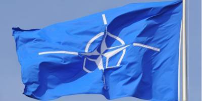 «Не стоит на повестке дня». Германия сдержанно отреагировала на желание Украины вступить в НАТО
