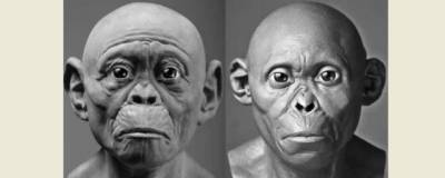 Ученые воссоздали облик вымерших предков человека
