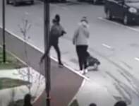 В Краснодаре пьяный подросток ударил женщину битой по голове за замечание