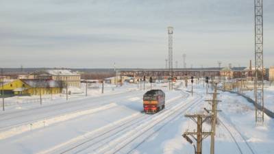 Жителя Хабаровского края задержали за угон локомотива