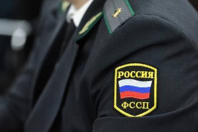 Решение о сносе «Соснового бора» в Волгограде вступило в законную силу