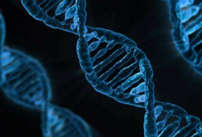 Ученые обнаружили самую древнюю ДНК